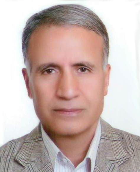 دکتر محمدحسن سعیدی